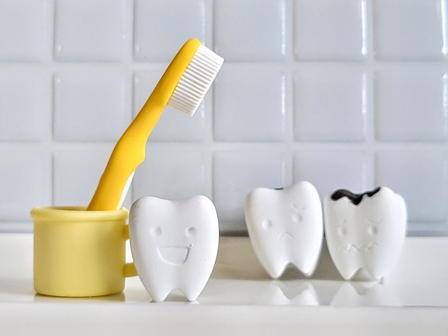 歯って再生できるの？虫歯は自然に治る？