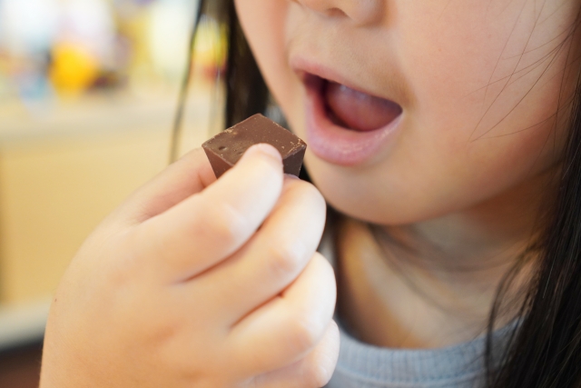 食べ方が歯並びを悪くする？噛み癖の影響とは